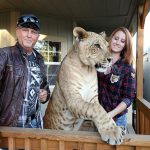 Jeff-Lowe-and-Lauren-Lowe-tiger-biped.jpg